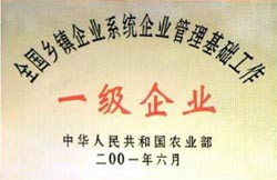 全國(guó)鄉(xiāng)鎮(zhèn)一級(jí)企業(yè)